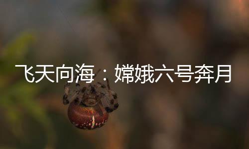 嫦娥降落的号奔海试难度较大