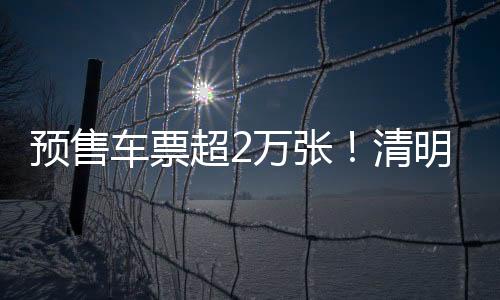 巴预投入运力同比增幅超5%
