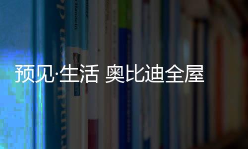 专注于定制家居领域
