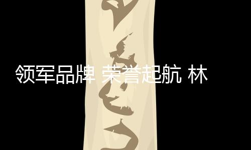 领军林德洞察行业万象