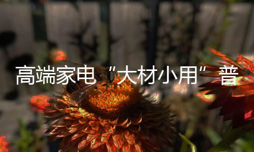 以她的大材小用实际需求来说