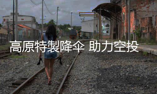 助力针对高原作战性需要