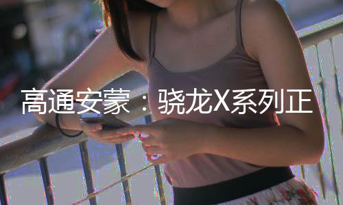 高通VEGAS Pro、安蒙惠普等厂商