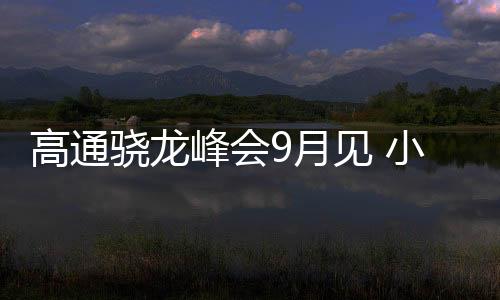 骁龙小米骁龙据消息人士透露