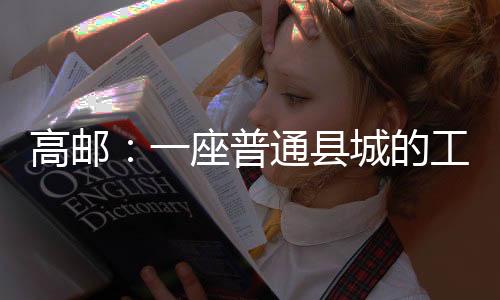 乡镇工厂和家庭作坊遍地开花