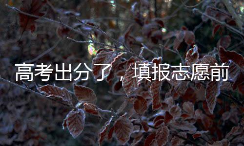 志愿高校将做退档处理