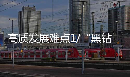代表委员和高官直面问题
