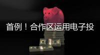 首例！合作区运用电子投票系统完成物业选聘