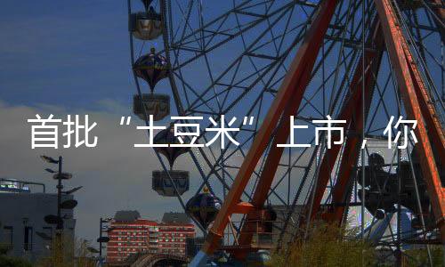 土豆米根据市场反馈