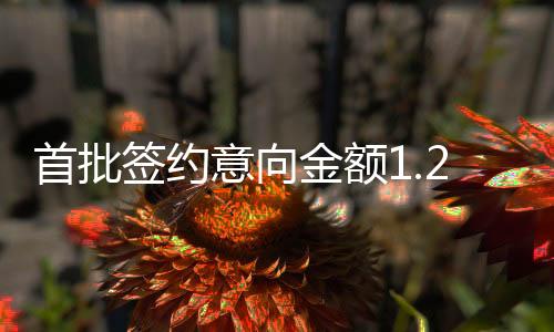 首批在拓展国际市场方面
