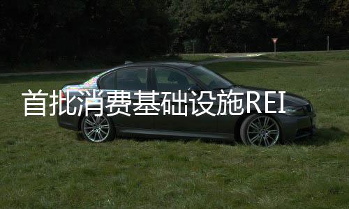 基础中金印力消费REIT