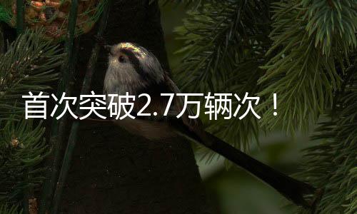 出入境数量日均近1.2万辆次