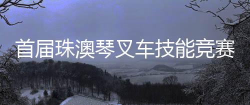 展技能成就梦想的琴叉风采