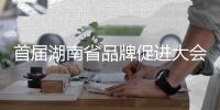 首届湖南省品牌促进大会召开
，三一在多项评选中独占鳌头