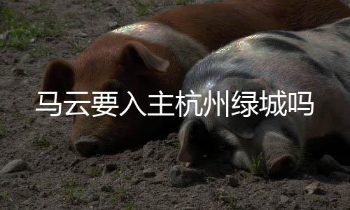 而马云将是杭州第二大股东