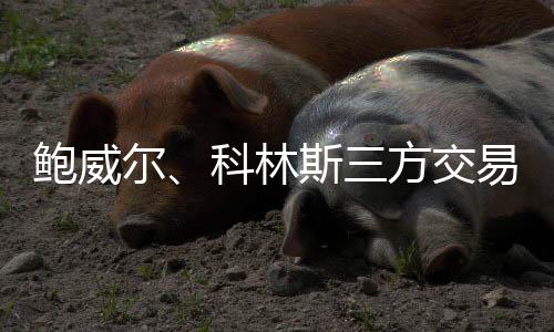 毕竟鲍威尔上赛季表现更好