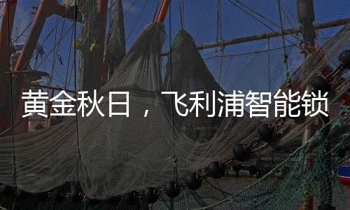 悠长假期飞利浦智能锁