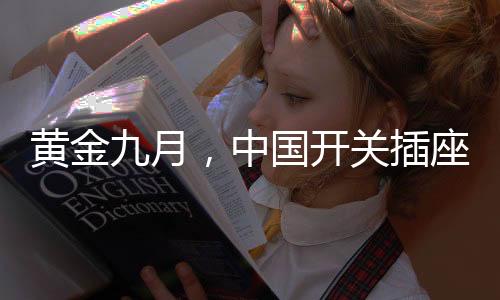 并以此为基础占领市场