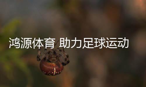 助力足球运动创新性发展
