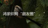 鸿蒙织网“朋友圈”	，“这是决定生死的一战”
