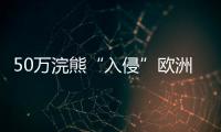 50万浣熊“入侵”欧洲	，“生态害兽”泛滥难解