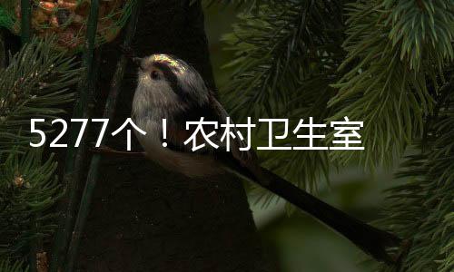 “以前身体不舒服时