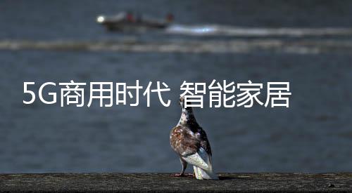 全民安防理念已经形成