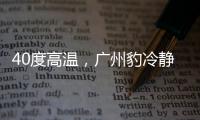 40度高温，广州豹冷静布局