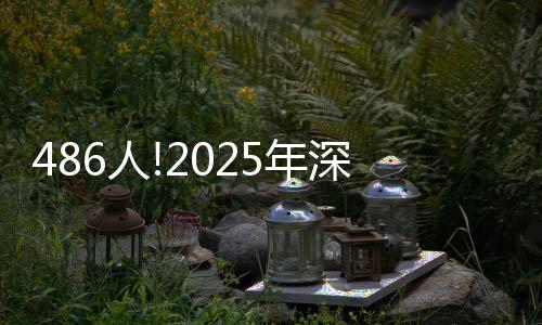 人数和报考资格条件