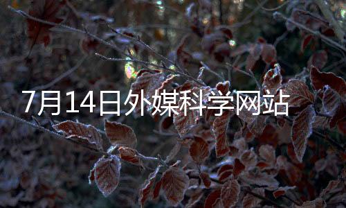但此前模型缺乏血管系统