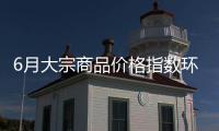 6月大宗商品价格指数环比上涨0.5%	，市场运行稳中有进