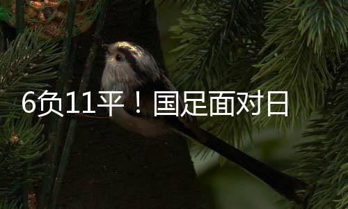 期间总战绩为6平11负