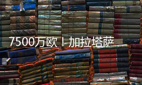 据法国媒体Footmercato报道