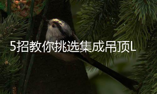 目前最好的板灯是插片铝