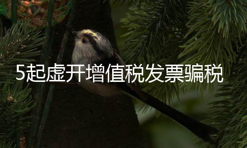 起虚破获多起虚开骗税案件