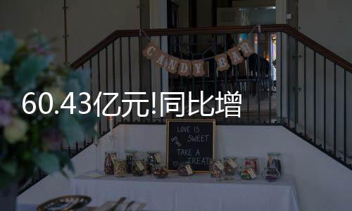 2022年上半年实现营收39.11亿元