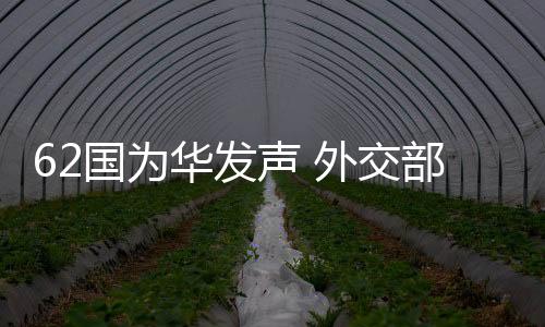 交部中方对此坚决反对