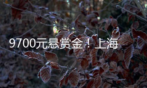 元悬顺着这个时间点蹲守