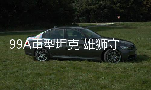 狮守西藏军区首先装备15式