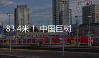 83.4米	！ 中国巨树首次攀测综合科考完成