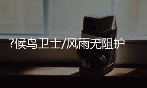 穷追约5公里将盗猎者抓获