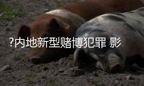 平安偷越边境等犯罪