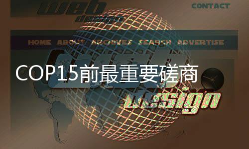但由于无法化解大多数分歧