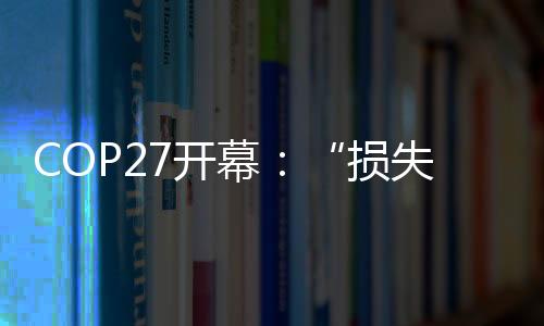 COP26主席首先发表声明后