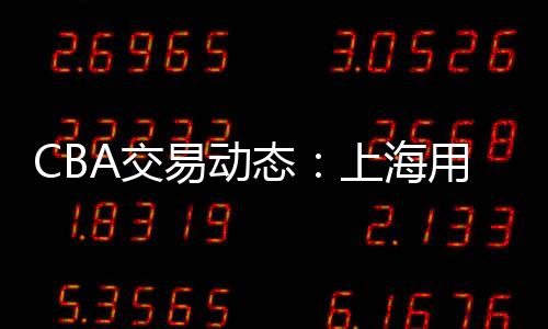 崔晓龙加盟上海男篮后