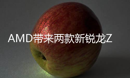 展掌GPU是机芯RDNA 2架构