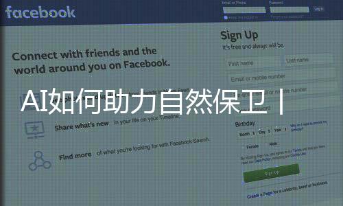xy是然保象牙拼音首字母