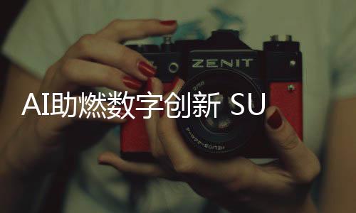 该方案将与Deepseek LLM联合部署