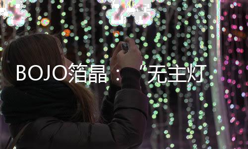一种简约时尚的专业风格