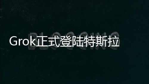 式让上特斯拉特别强调